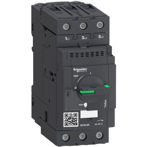 Contacteurs+auxil.+ accessoir. Disjoncteur magnétiq. 65A Schneider Automation