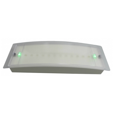 Ecl. de sécurité LED Onyx 10P P/NP 100LM + picto CET TECHNICS