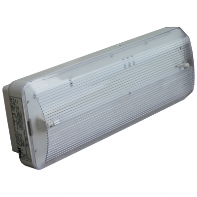 Eclairage de sécurité Argos NP 240lm 8W app 1h IP41 CET TECHNICS