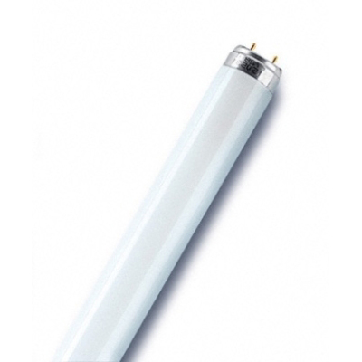 Lampes T5 L 13W/840 OSRAM