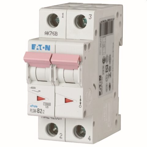Disjoncteurs 10Ka Disjonct.2P 2A 10kA C EATON